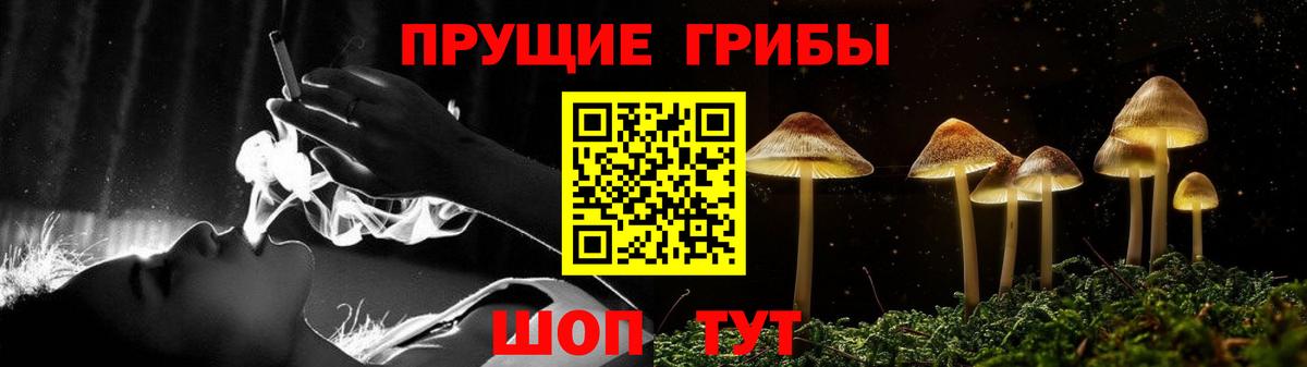 Псилоцибиновые грибы мухоморы Тара